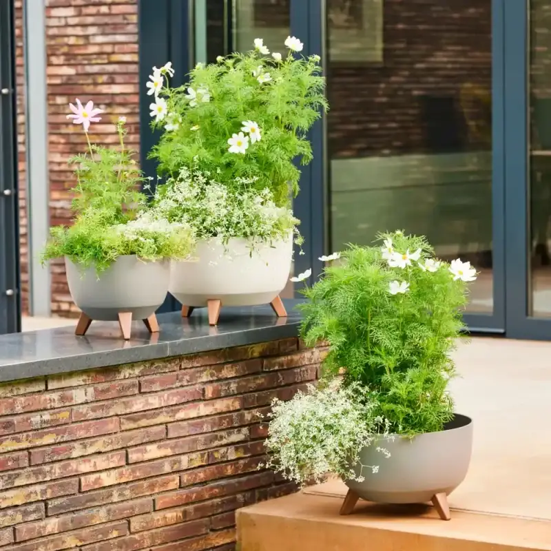 Siena Garden Oslo Blumentopf Tiefpreis