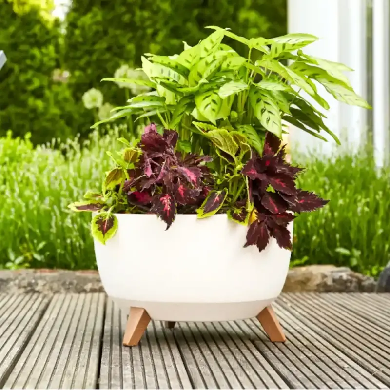 Siena Garden Oslo Blumentopf Letzte 3 Tage