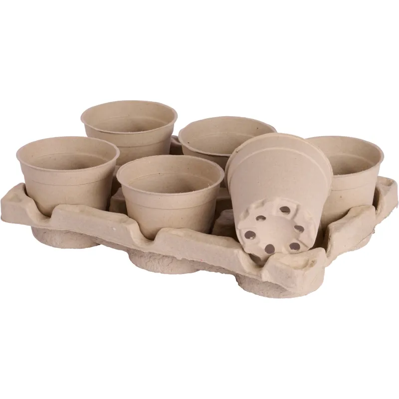 Siena Garden 6er-ECO-Kulturtopfset Sonderangebot