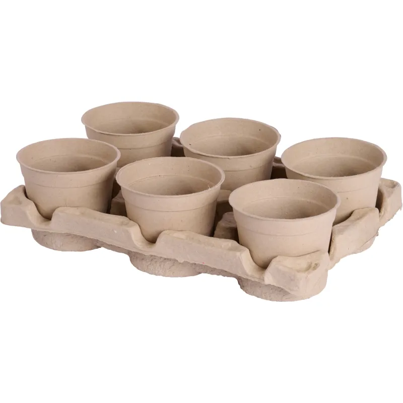Siena Garden 6er-ECO-Kulturtopfset Sonderangebot