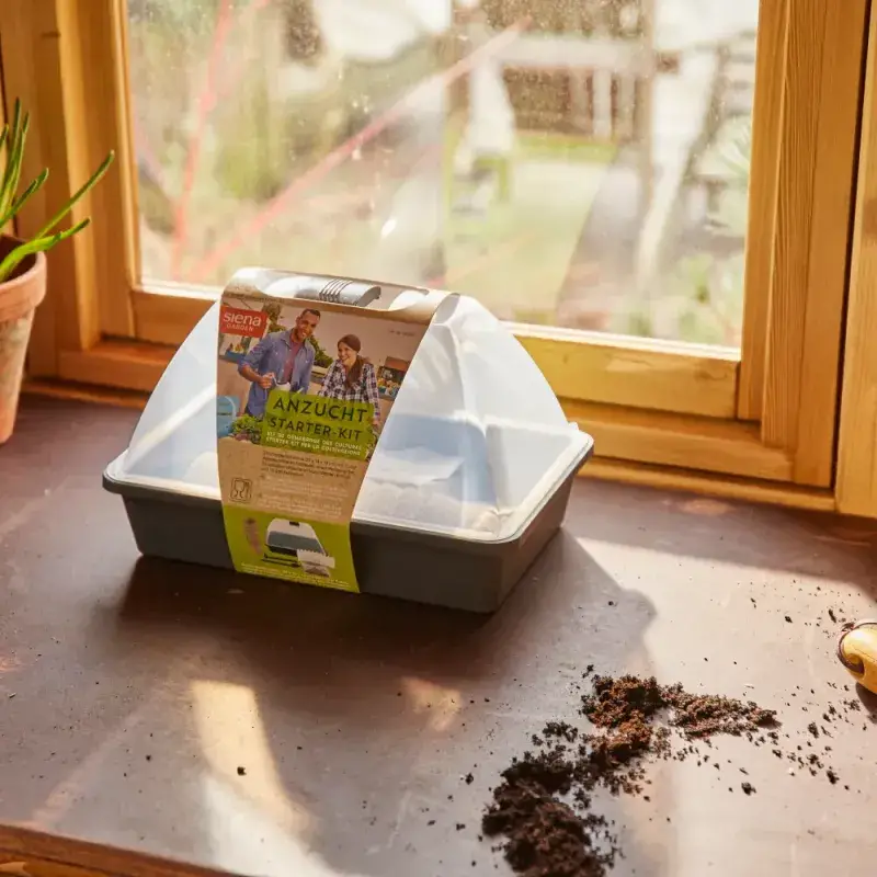 Siena Garden Anzucht Starter-KIT inkl. Quellsubstrat und Werkzeug Heißer Verkauf