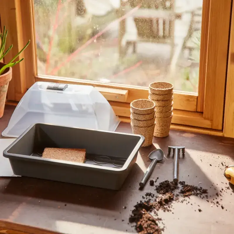 Siena Garden Anzucht Starter-KIT inkl. Quellsubstrat und Werkzeug Heißer Verkauf
