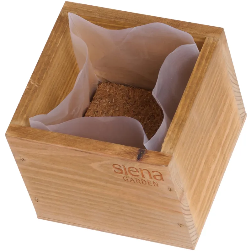 Siena Garden Anzucht- & Kräuter Cube Top Angebot