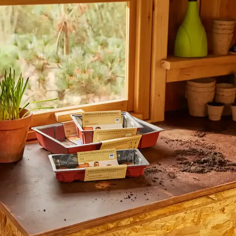 Siena Garden Anzuchtgewächshaus aus Kunststoff 25,5x12,0x9,4cm Exklusive Angebote
