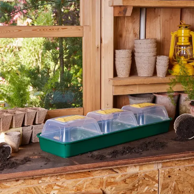 Siena Garden Zimmergewächshaus 3er Set 50% Rabatt mit kostenlosem Versand