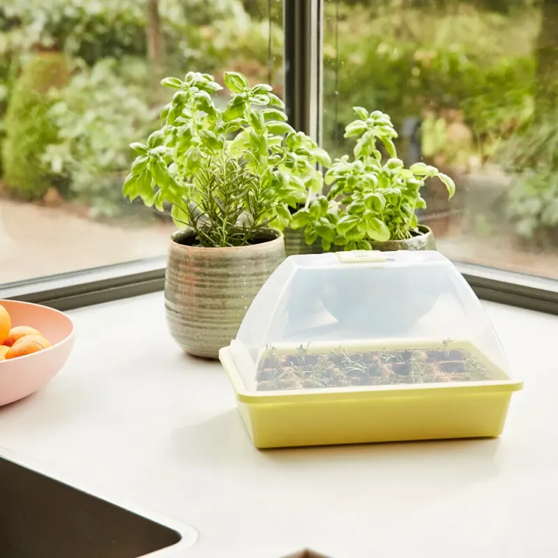 Siena Garden Zimmergewächshaus Midi-Grow Fabrikladen