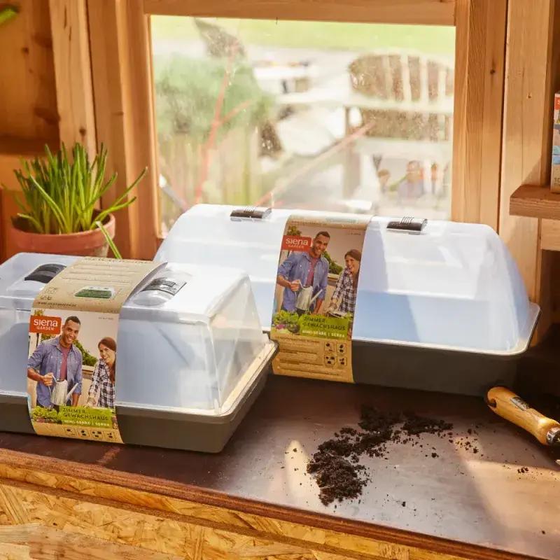 Siena Garden Zimmergewächshaus Uni-Grow Speichern exportieren