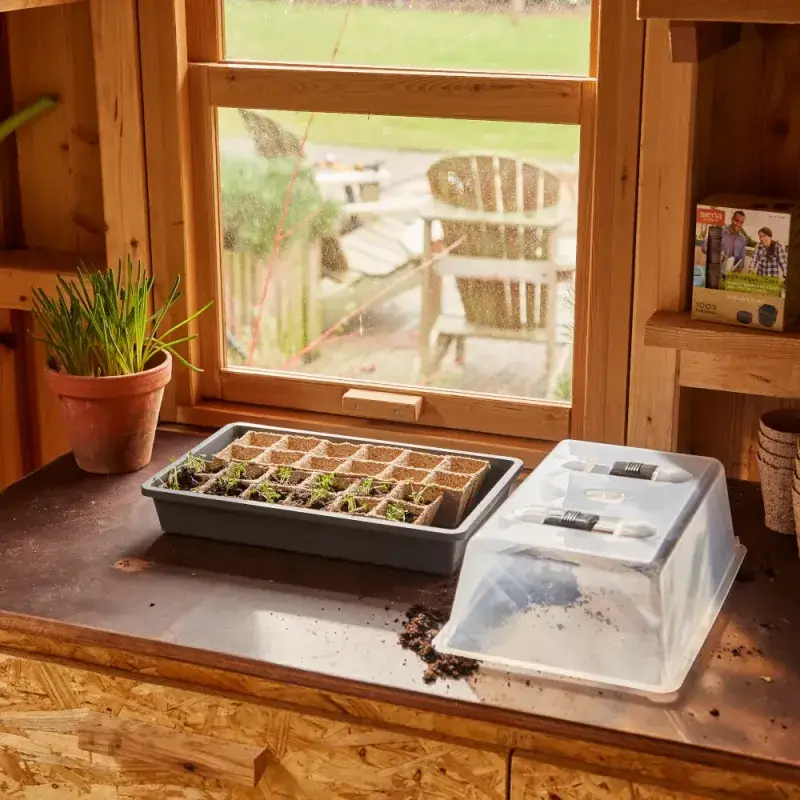 Siena Garden Zimmergewächshaus Uni-Grow Speichern exportieren