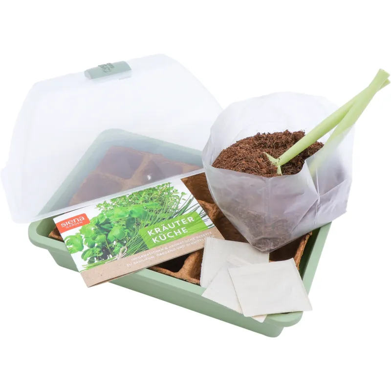 Siena Garden Zimmergewächshaus-Set "Kräutergarten" inkl. Saatgut zollfrei