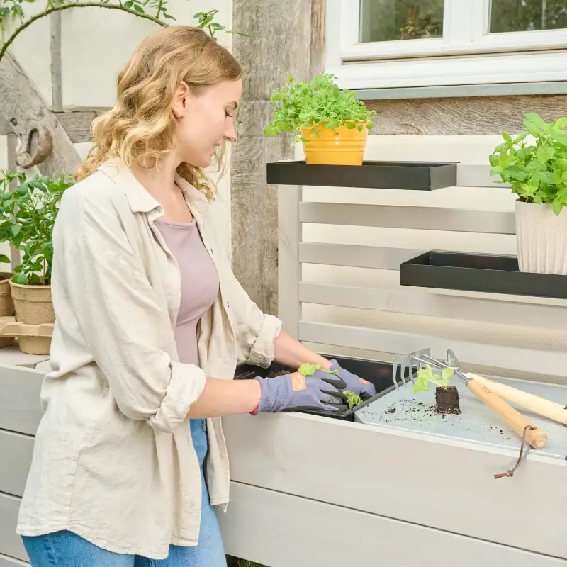 Siena Garden BEETBAR® Rankgitter Kiefernholz FSC® 100% grau Sonderangebot