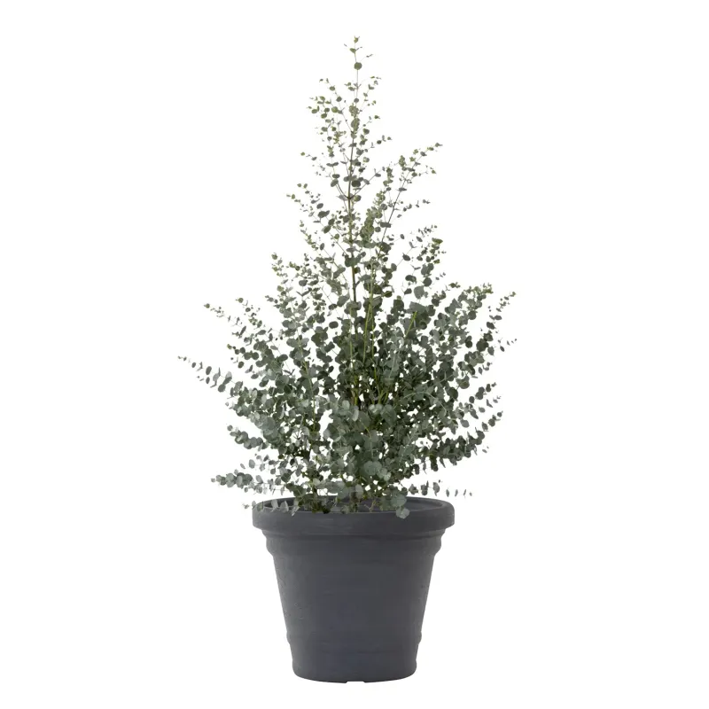 Siena Garden Amalia Pflanzkübel Im Verkauf