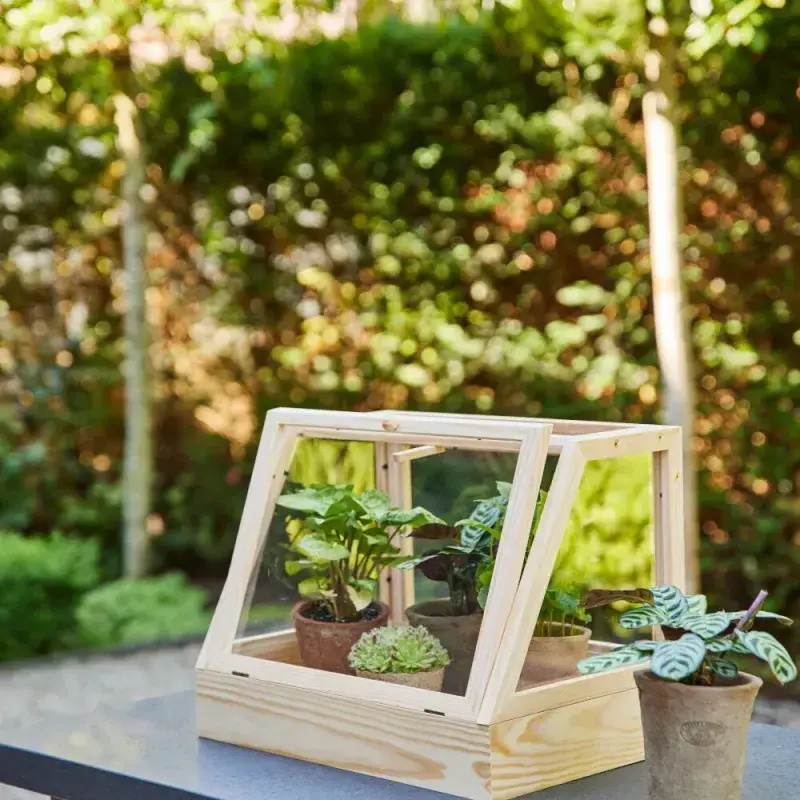 Siena Garden Design Gewächshaus Juna Lagerräumung