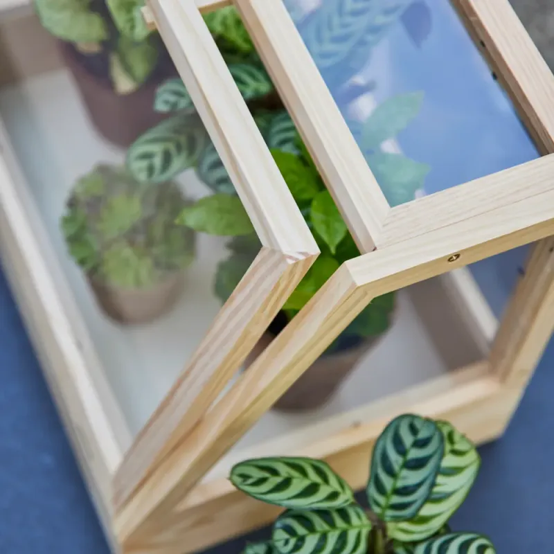 Siena Garden Design Gewächshaus Juna Lagerräumung