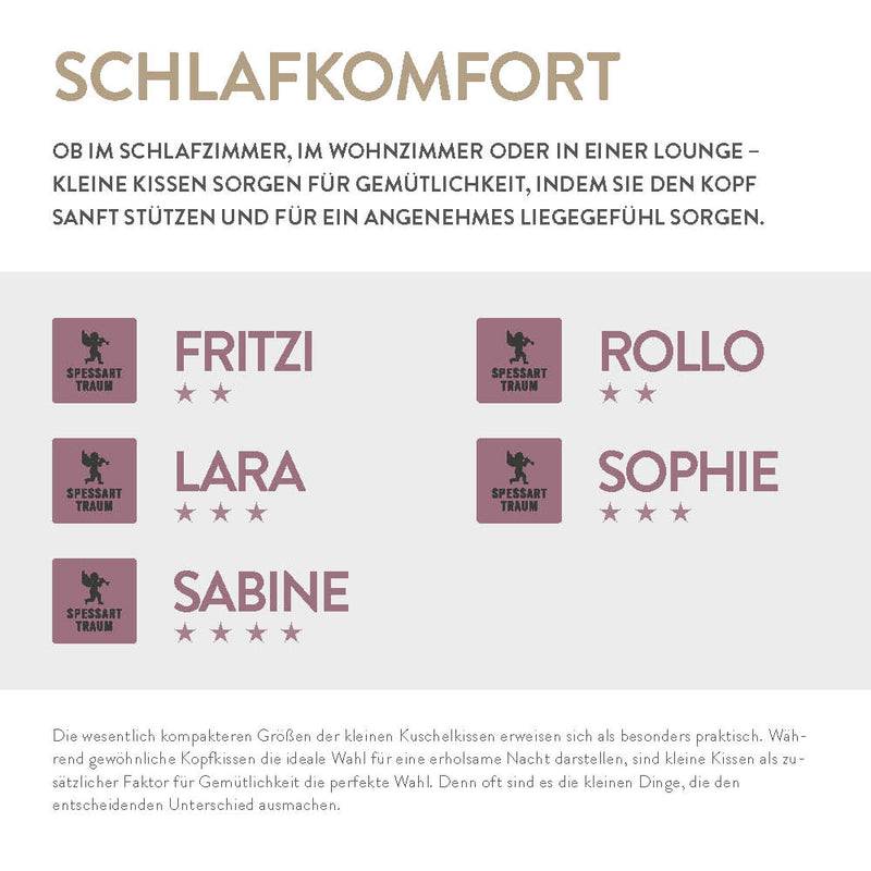 Spessarttraum 4er-Set Federnkissen Kleinkissen Spessarttraum Fritzi, 100 % Federn Tiefpreis